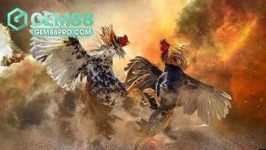 Gem88 Lcanse - Cổng Game Đổi Thưởng Gem88.Com Chính Thức - Movip