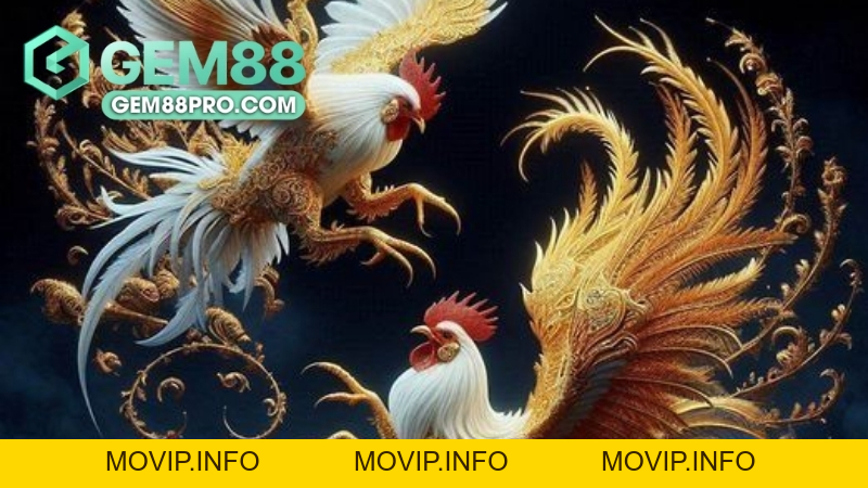Sảnh Đá Gà WS168 - Khám Phá Thế Giới Cá Cược Cùng Gem88 - Movip