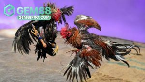 Gem88 Lcanse - Cổng Game Đổi Thưởng Gem88.Com Chính Thức - Movip