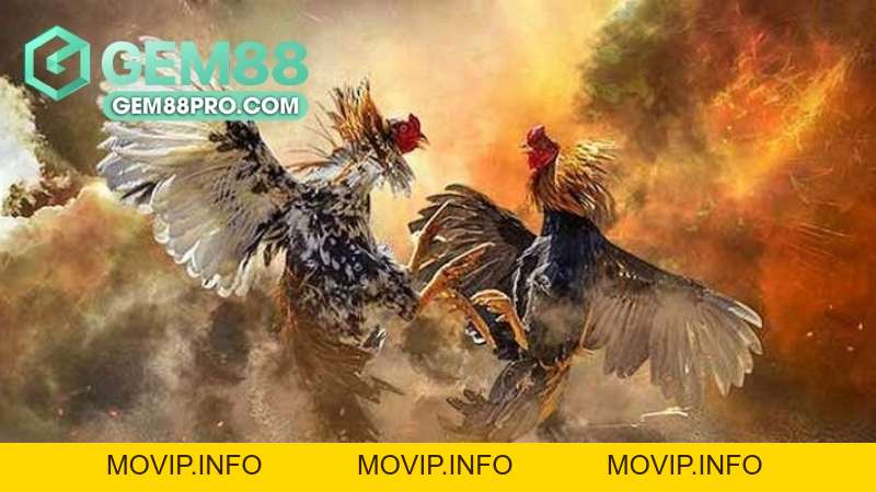 Sảnh Đá Gà WS168 - Khám Phá Thế Giới Cá Cược Cùng Gem88 - Movip